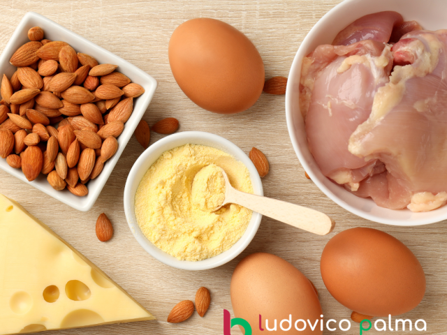 Proteine Alimentazione Massa Muscolare