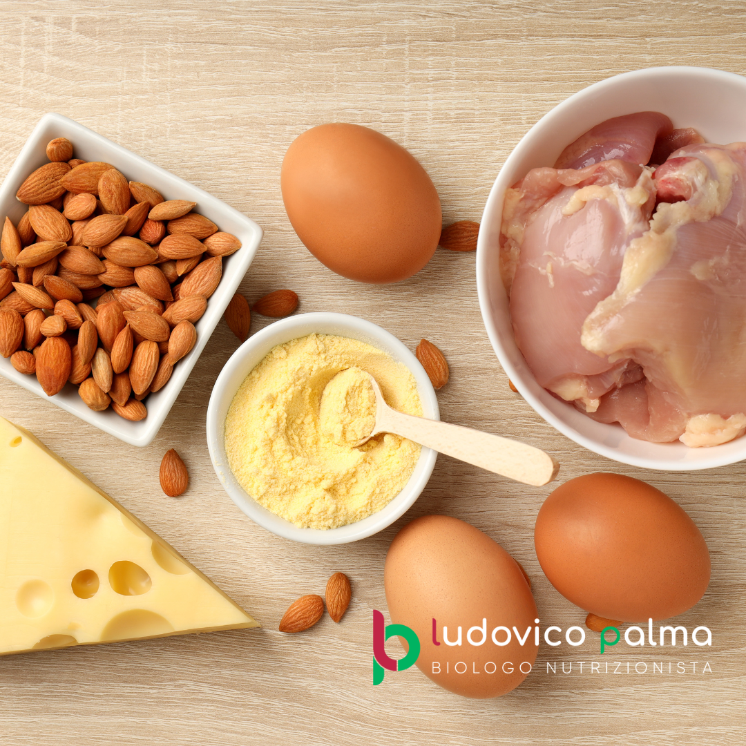 Proteine-Alimentazione-Massa-Muscolare.png