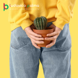Emorroidi e Alimentazione