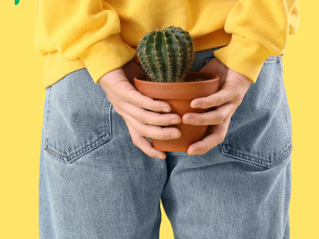 Emorroidi e Alimentazione